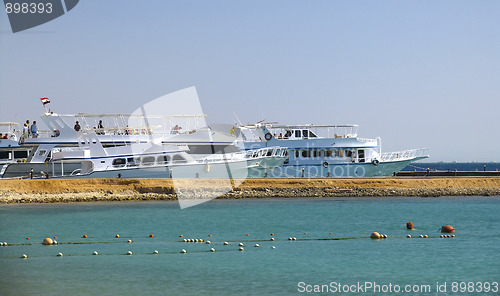 Image of White yachts near the beach in Red sea