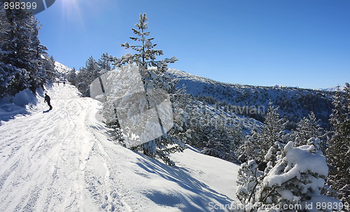 Image of Snowboarding in Bulgaria. Ski resort Borovets 