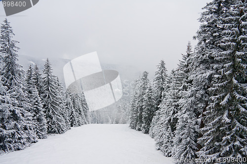 Image of Winter snow landscape in the Rila mountain, Bulgaria, in cloudy 