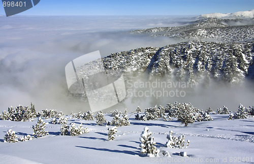 Image of Rila mountains in Borovets, Bulgaria