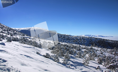 Image of Rila mountains in Borovets, Bulgaria