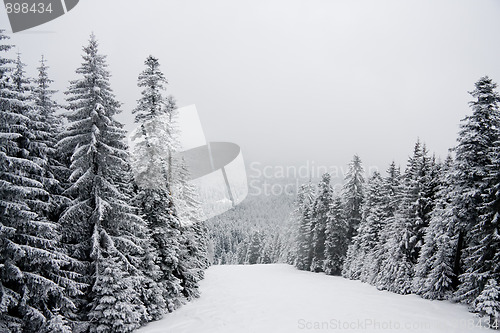 Image of Winter snow landscape in the Rila mountain, Bulgaria, in cloudy 