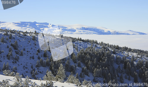 Image of Rila mountains in Borovets, Bulgaria