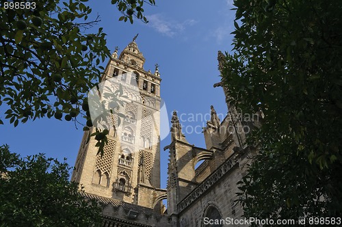 Image of La Giralda, Seville, Spain