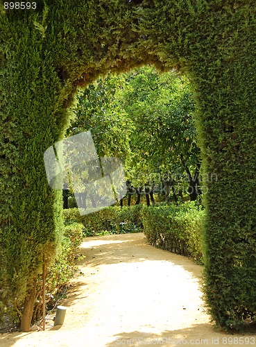 Image of Garden of the Royal Alcazar in Seville, Spain