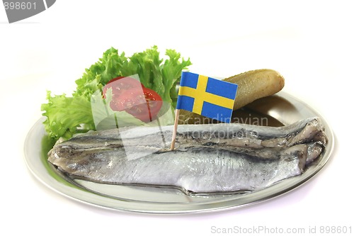 Image of Herring