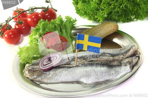 Image of Herring