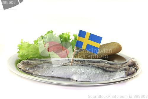 Image of Herring