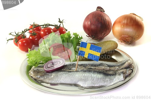 Image of Herring