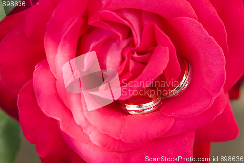 Image of Two gold wedding rings with pink rose