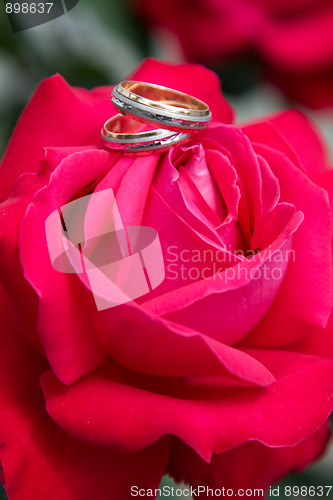 Image of Two gold wedding rings with pink rose