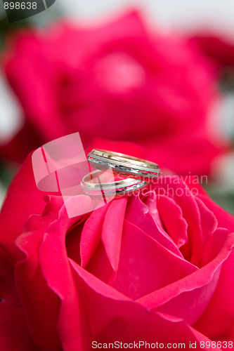 Image of Two gold wedding rings with pink rose