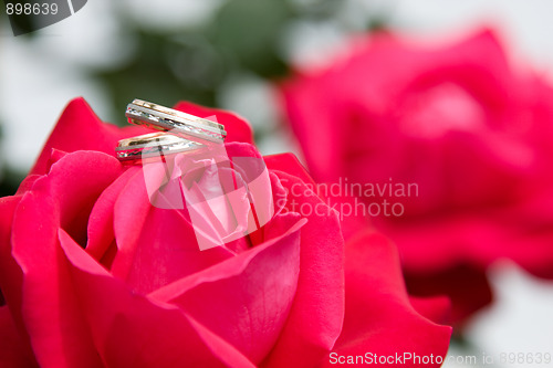 Image of Two gold wedding rings with pink rose