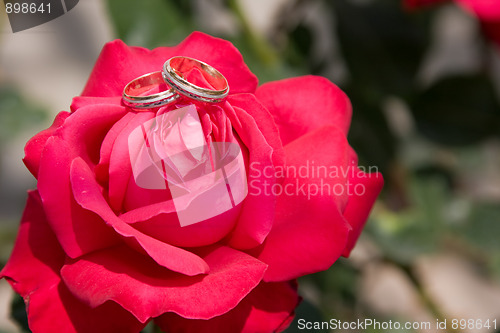 Image of Two gold wedding rings with pink rose
