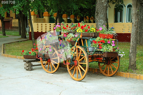 Image of Decorative cart with flowerpots