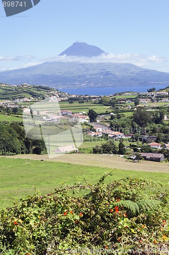 Image of Landscape of Faial, Azores