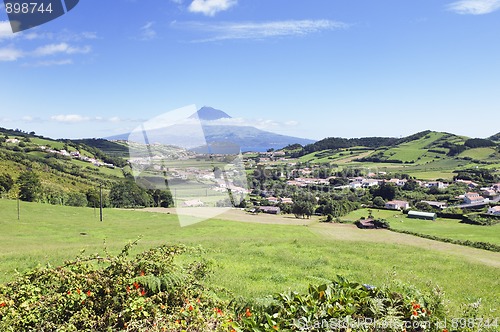 Image of Landscape of Faial, Azores