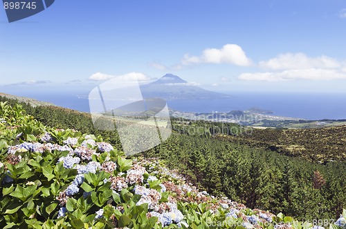 Image of Landscape of Faial, Azores