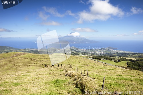 Image of Landscape in Faial, Azores