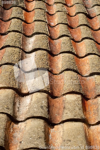 Image of Roof detail