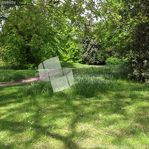 Image of Greenery background