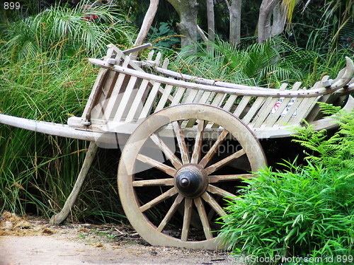 Image of Old friend