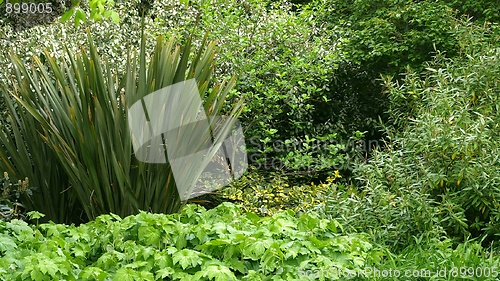 Image of Greenery background
