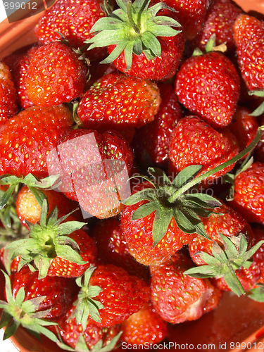 Image of Strawberries