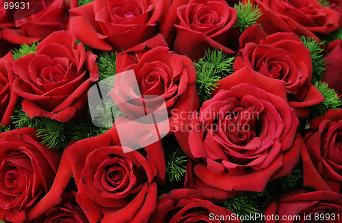 Image of Red roses