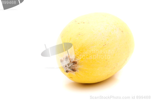 Image of Spaghetti Squash 