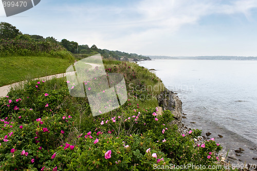 Image of Newport Rhode Island Shoreline