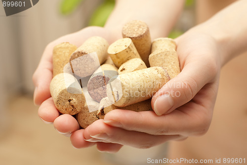 Image of Wine corks