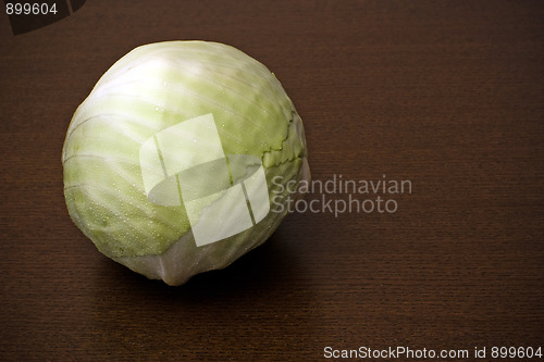 Image of Green cabbage