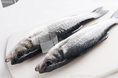 Image of Sea bass