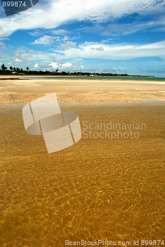 Image of crystalline green sea in Alagoas, Brazil