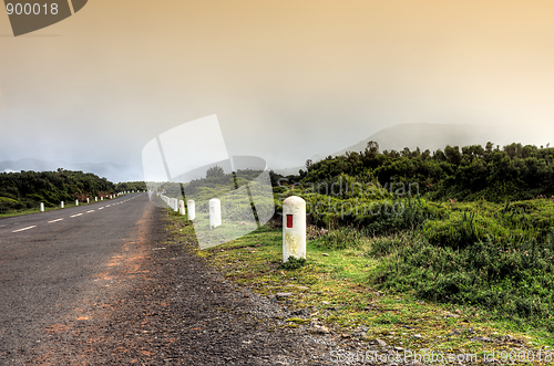Image of Road in Plateau of Parque natural de Madeira, Madeira island,  Portugal
