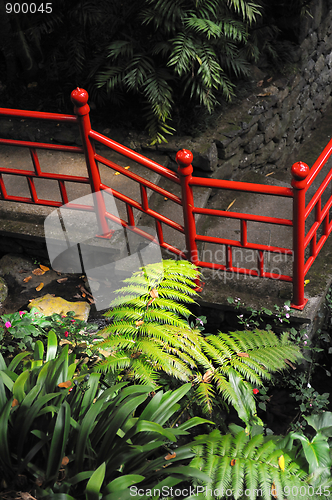 Image of Monte Palace Tropical Garden– Monte, Madeira