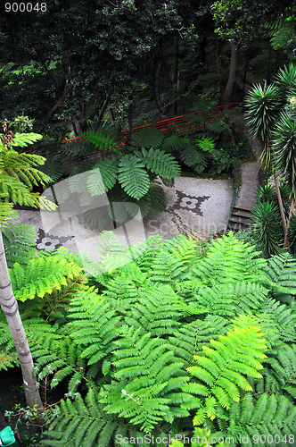 Image of Monte Palace Tropical Garden– Monte, Madeira