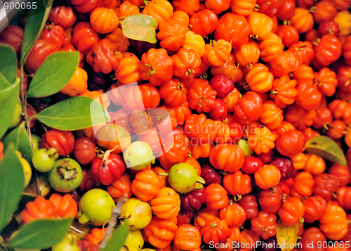 Image of Surinam Cherry , Pitangas, Eugenia uniflora, fruit of Madeira