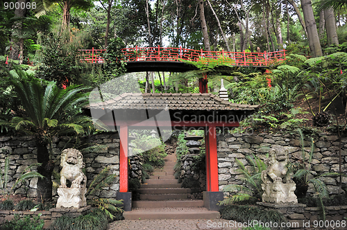 Image of Monte Palace Tropical Garden– Monte, Madeira