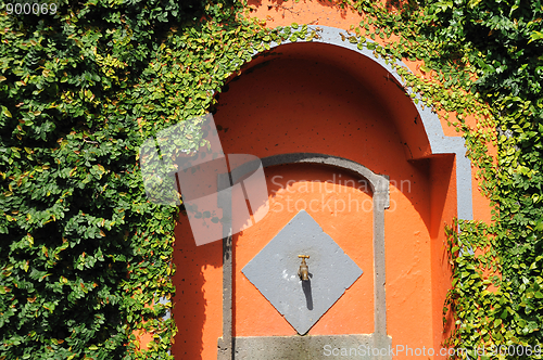 Image of Ancient sink surrounded by green creeper - Madeira