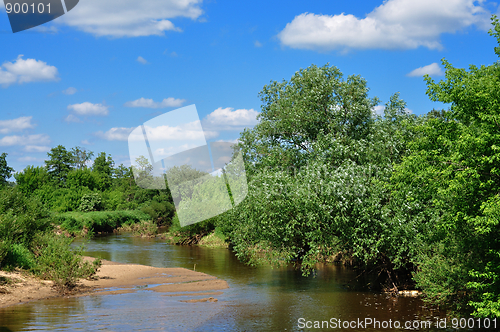 Image of Summer Landscape