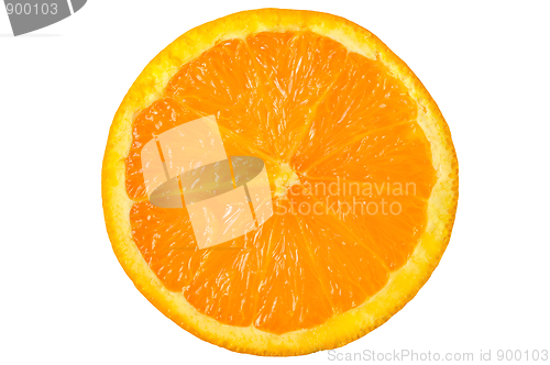Image of Orange