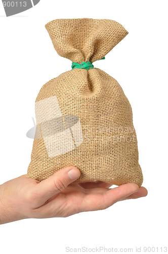 Image of Hand with Bag