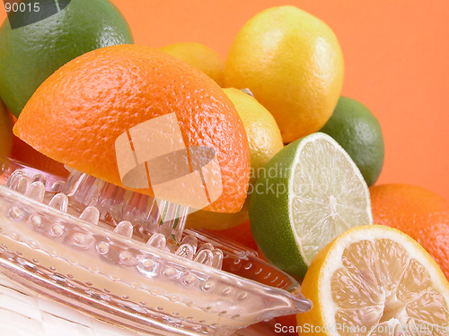 Image of citrus squeezer