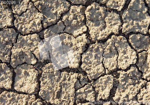 Image of Cracked earth