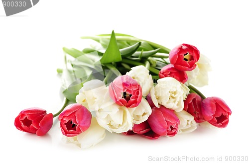 Image of Red and white tulips