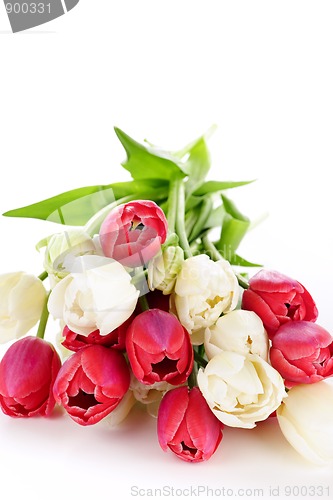 Image of Red and white tulips