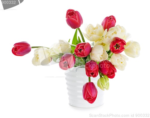 Image of Red and white tulips