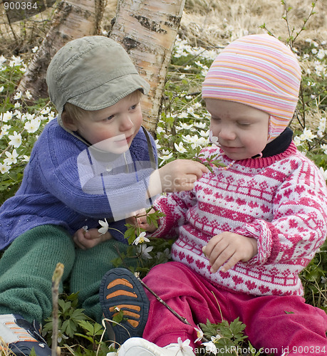 Image of Children picking flowers